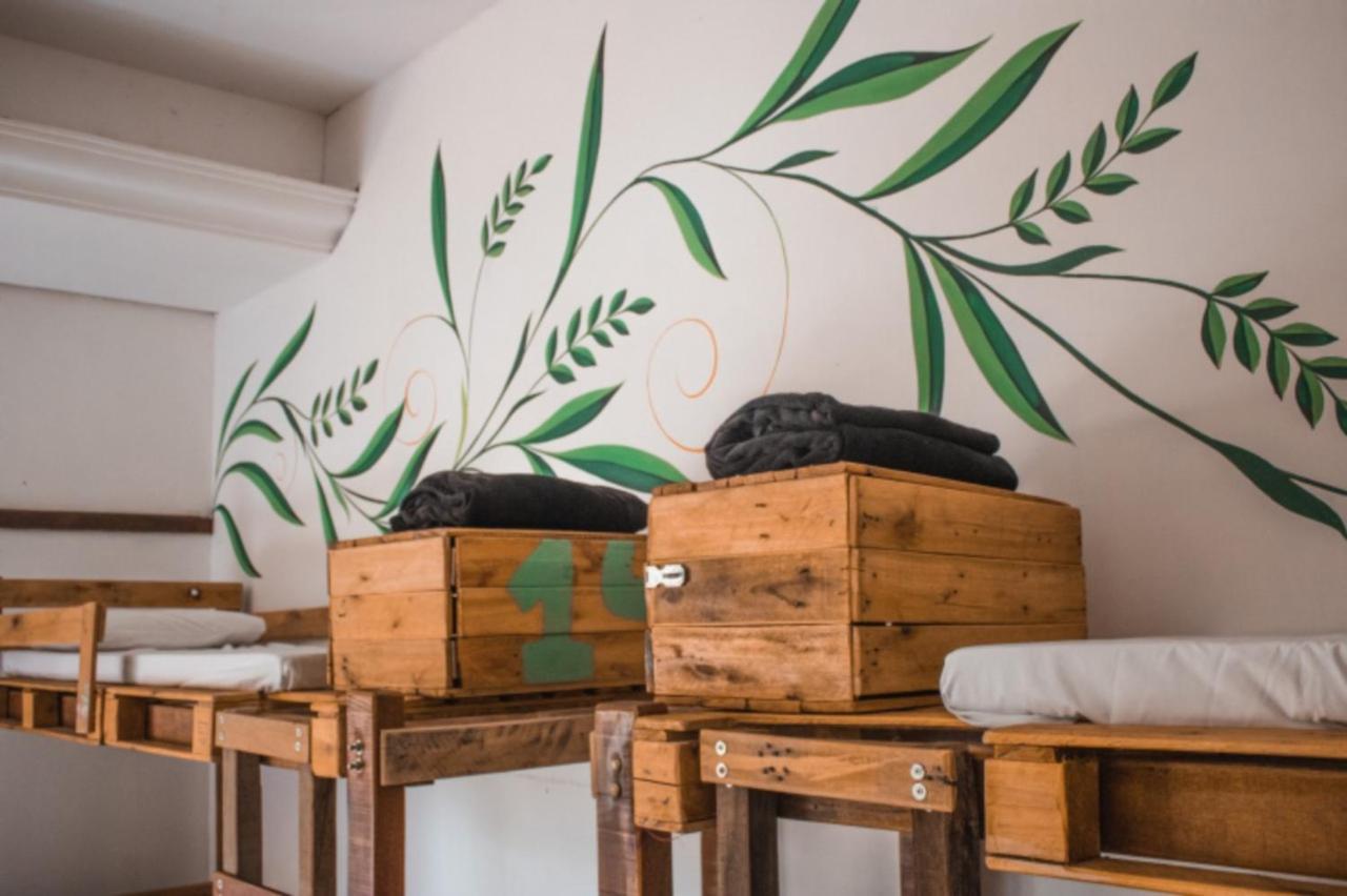 Albergue The Eco Palace *